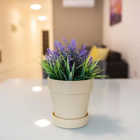 Apartamento Sunny By 360 Estates