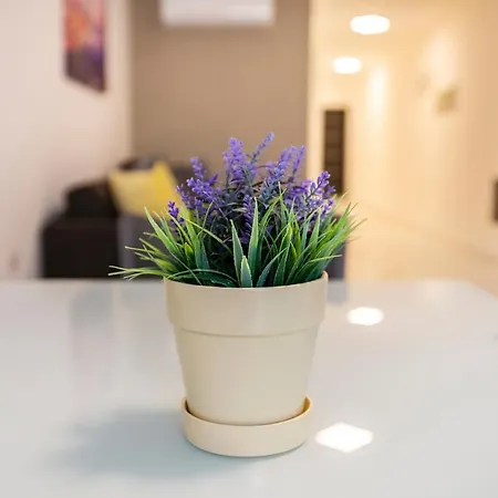 Apartamento Sunny By 360 Estates *